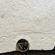 Illustration for article titled Fossils give hope that life can flourish on surprisingly primitive planets